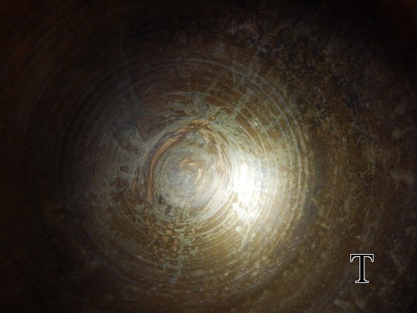 DSCN2646