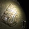 level1-dragon