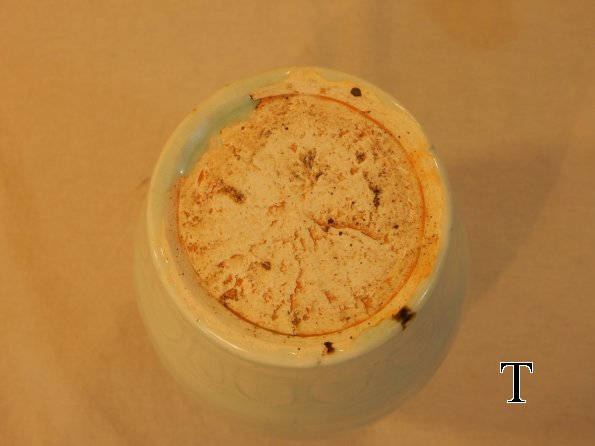 DSCN6288