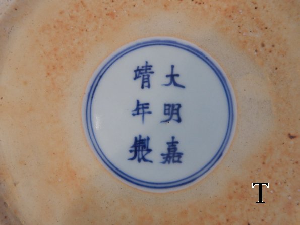 DSCN3525