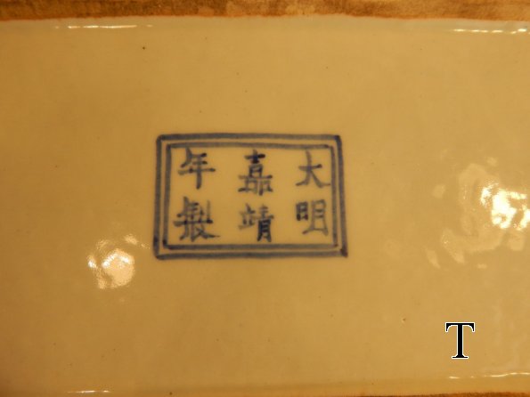 DSCN2173