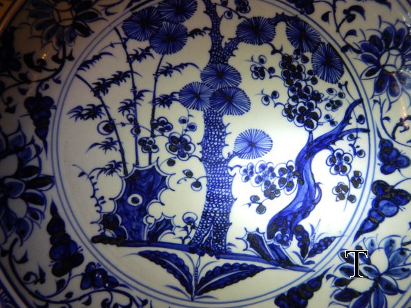 DSCN3732