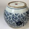 IMG_8023