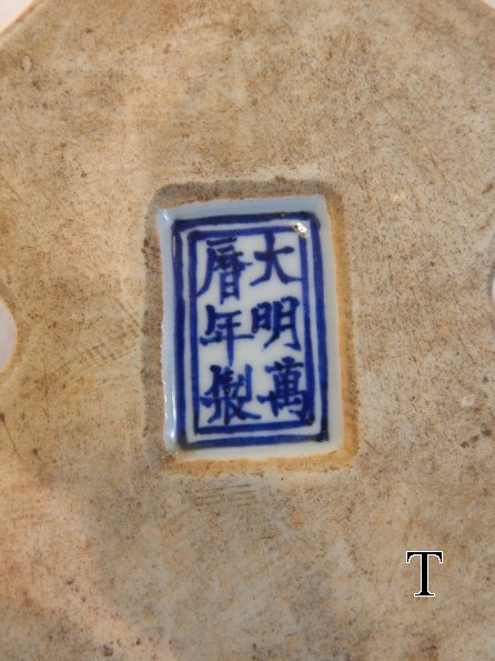 DSCN6865