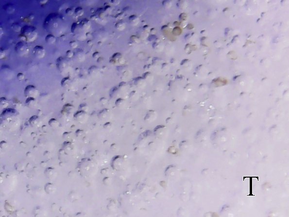 S20170209_008