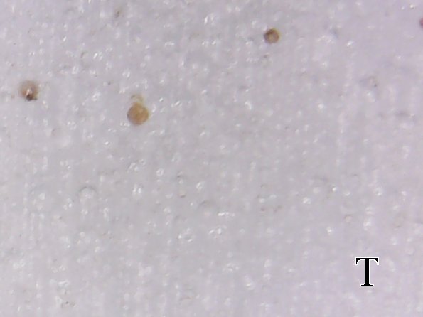 S20170209_004