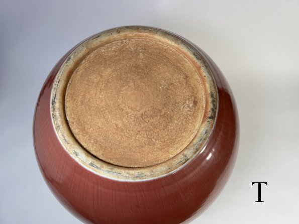 IMG_7256