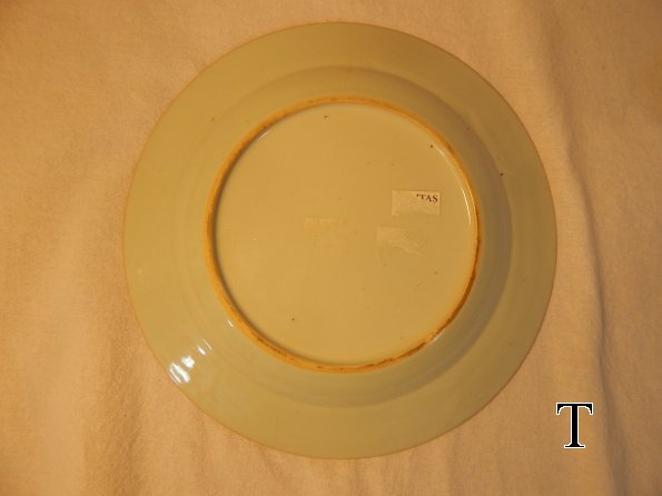 DSCN5545