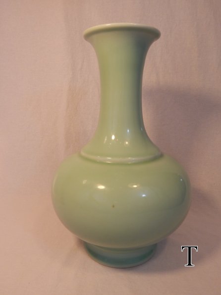 DSCN5217