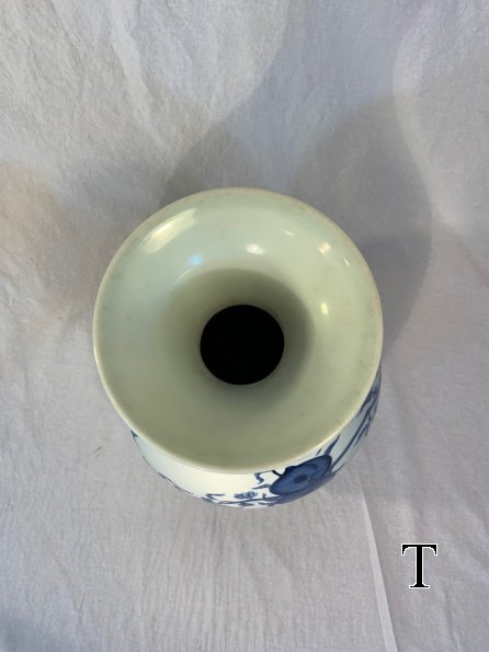 IMG_7905