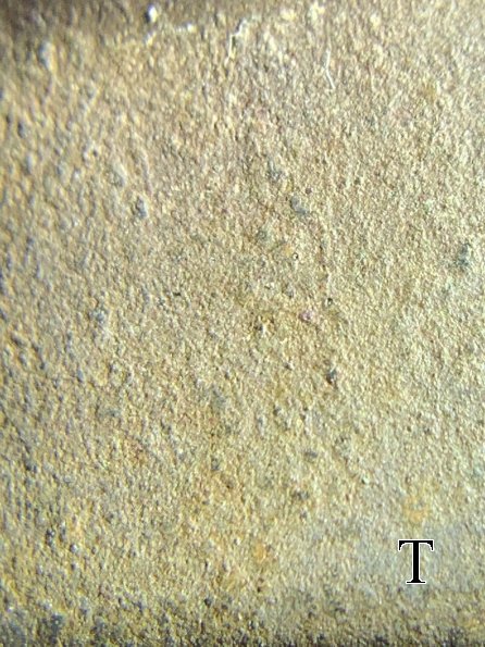 my_lid_side_40x